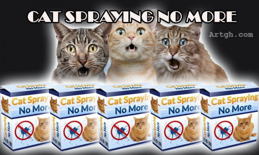 Cat Spraying No More Stop Your Cat