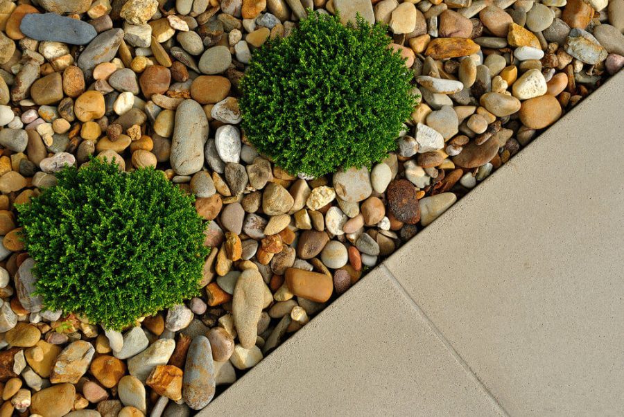 Landscaping combinations of plants, pebbles and paving