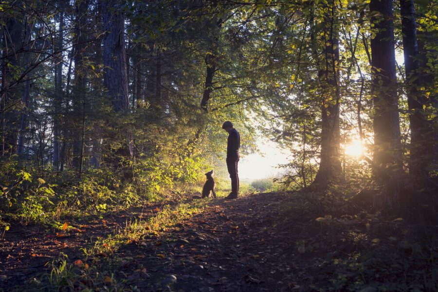 Man walking his dog in the woods 