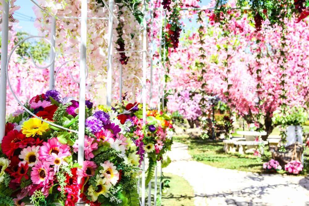 grape decorating a garden