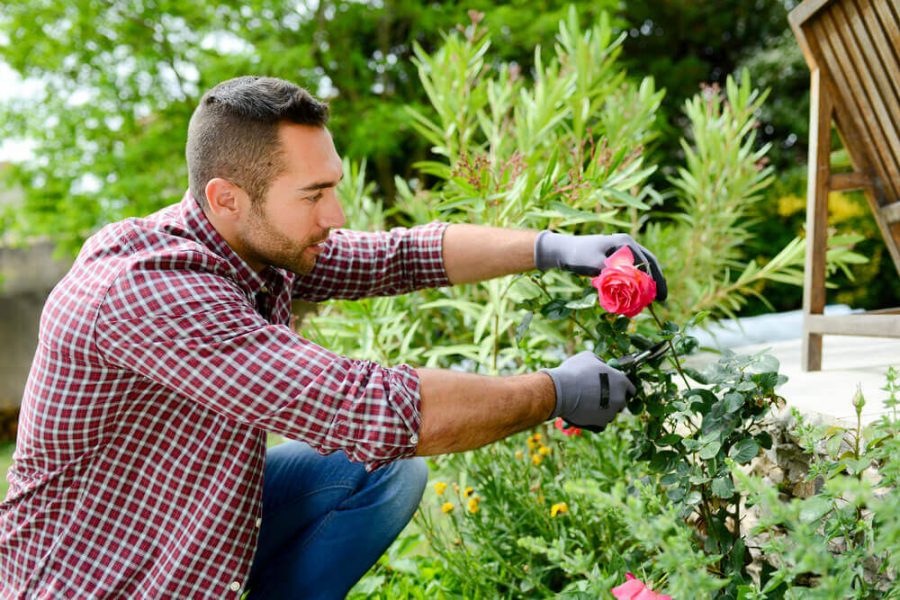 man gardener landscaping