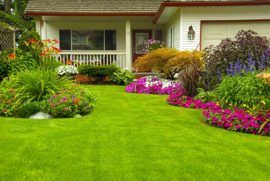 How to Landscape Your Home To Make It Look Better, Neater, and More!